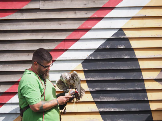 Pairi Daiza (Brugelette, Belgium)